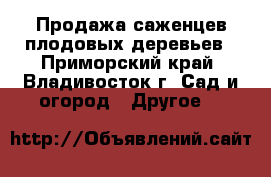 Продажа саженцев плодовых деревьев - Приморский край, Владивосток г. Сад и огород » Другое   